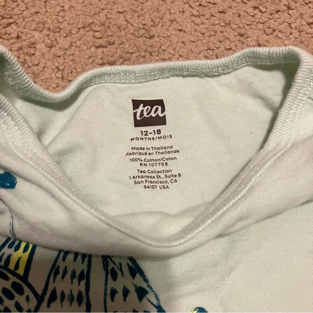 Girl’s 12-18m long sleeve Gymboree floral‎ dress & aqua Tea sloth shirt